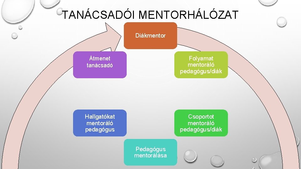 TANÁCSADÓI MENTORHÁLÓZAT Diákmentor Átmenet tanácsadó Folyamat mentoráló pedagógus/diák Hallgatókat mentoráló pedagógus Csoportot mentoráló pedagógus/diák