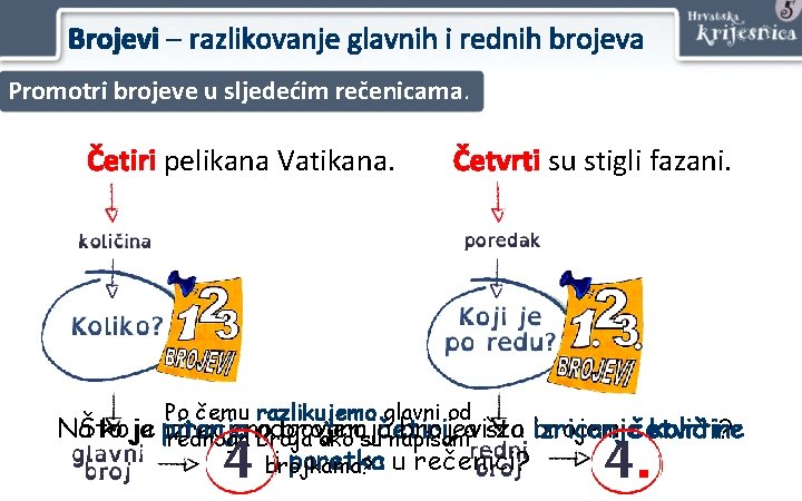 Brojevi – razlikovanje glavnih i rednih brojeva Promotri brojeve u sljedećim rečenicama. Četiri pelikana