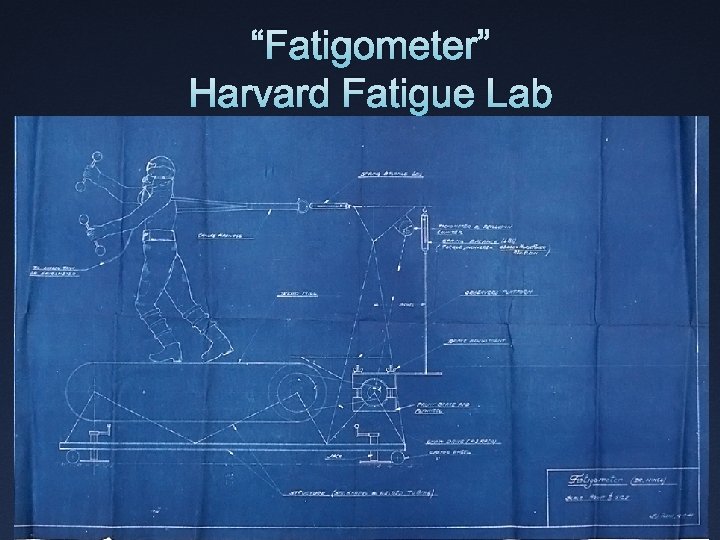 “Fatigometer” Harvard Fatigue Lab 