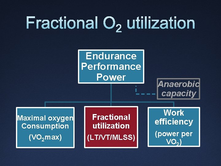 Fractional O 2 utilization Endurance Performance Power Maximal oxygen Consumption (VO 2 max) Fractional