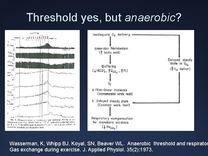 Threshold yes, but anaerobic? Wasserman, K, Whipp BJ, Koyal, SN, Beaver WL. Anaerobic threshold