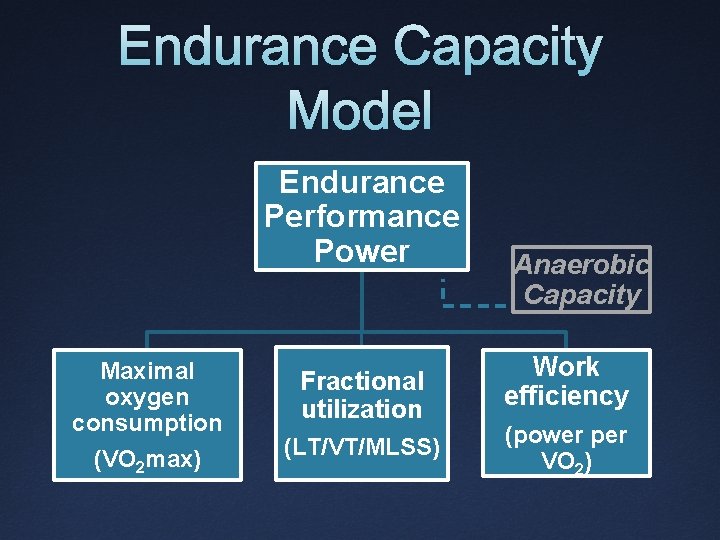 Endurance Capacity Model Endurance Performance Power Maximal oxygen consumption (VO 2 max) Fractional utilization