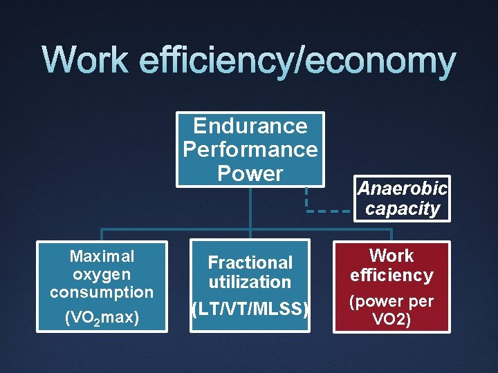 Work efficiency/economy Endurance Performance Power Maximal oxygen consumption (VO 2 max) Fractional utilization (LT/VT/MLSS)