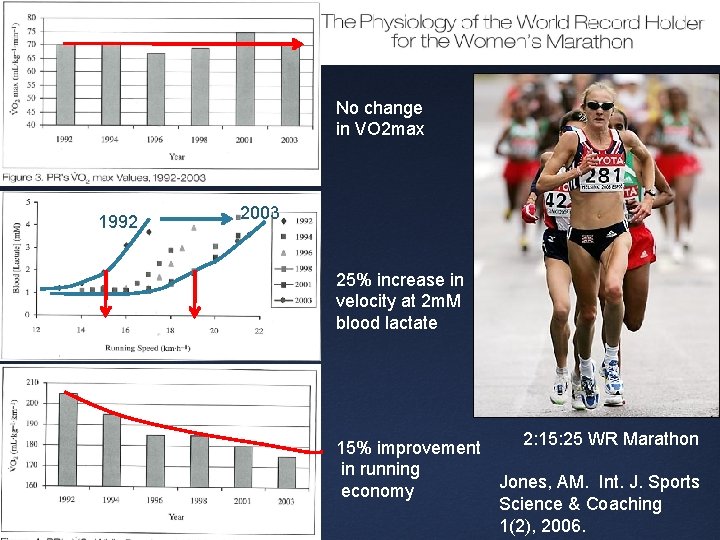 No change in VO 2 max 1992 2003 25% increase in velocity at 2