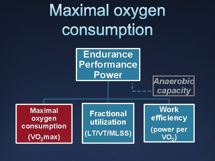 Maximal oxygen consumption Endurance Performance Power Maximal oxygen consumption (VO 2 max) Fractional utilization