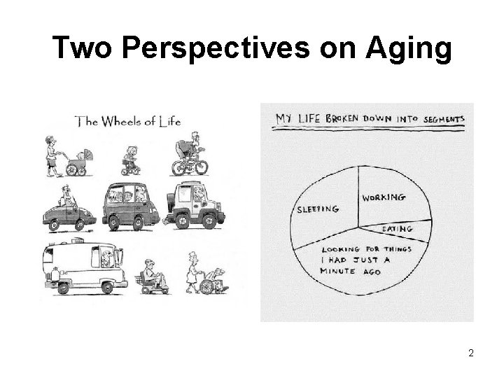 Two Perspectives on Aging 2 