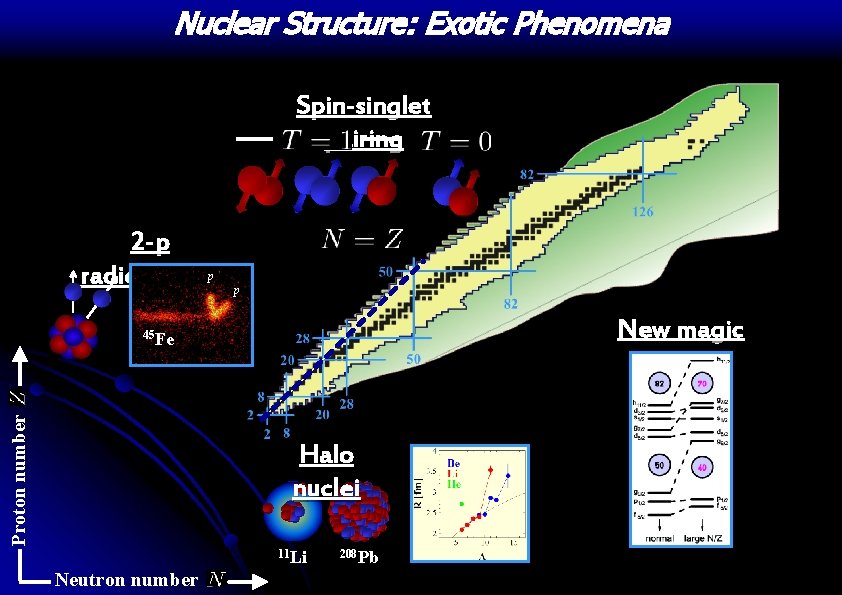 Nuclear Structure: Exotic Phenomena Spin-singlet pairing 2 -p radioactivityp p New magic numbers Proton