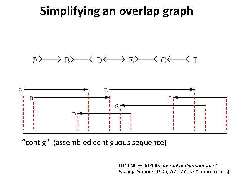 Simplifying an overlap graph “contig” (assembled contiguous sequence) EUGENE W. MYERS. Journal of Computational