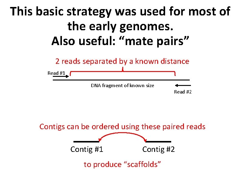 This basic strategy was used for most of the early genomes. Also useful: “mate
