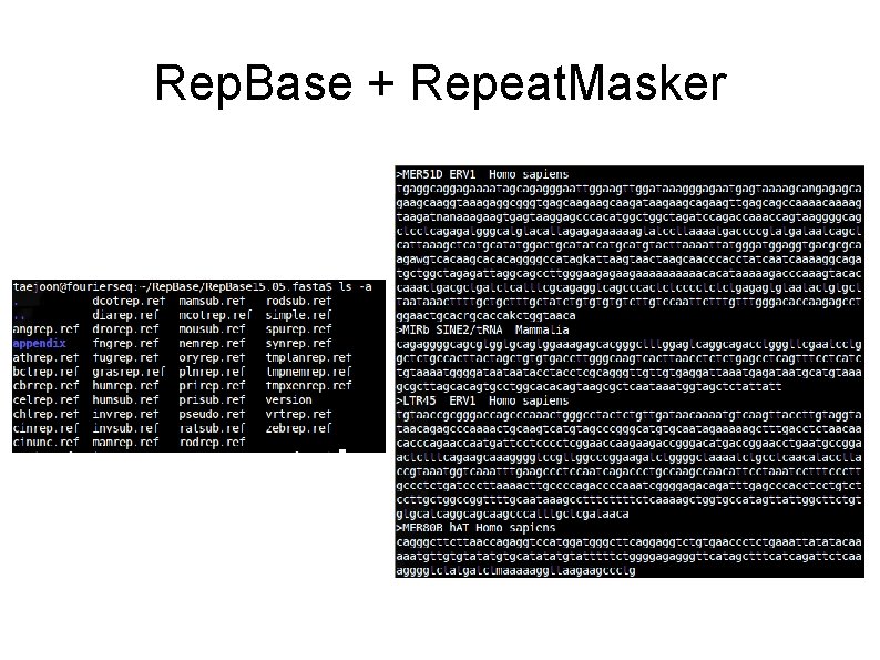 Rep. Base + Repeat. Masker 