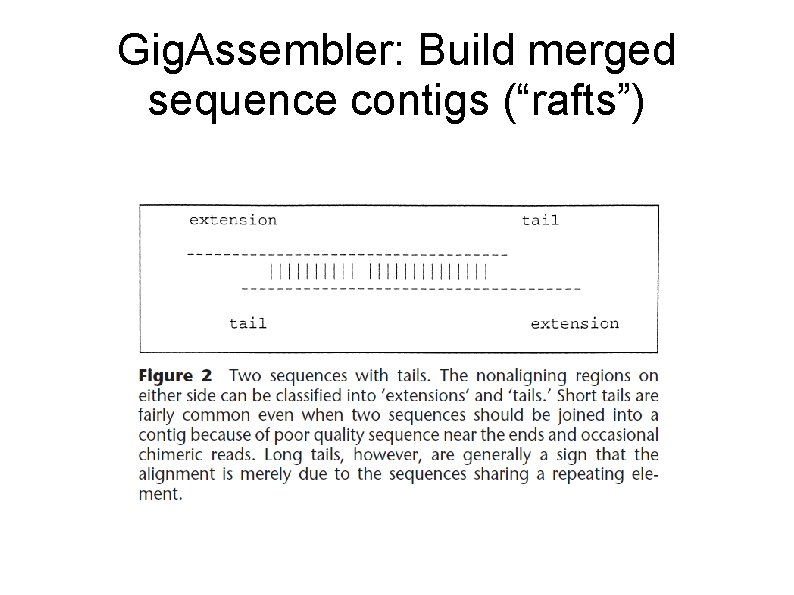 Gig. Assembler: Build merged sequence contigs (“rafts”) 