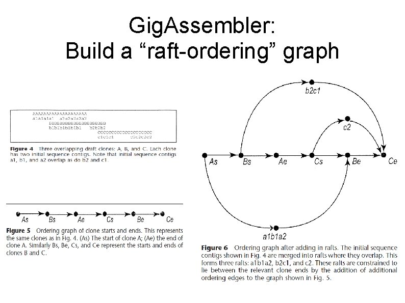 Gig. Assembler: Build a “raft-ordering” graph 