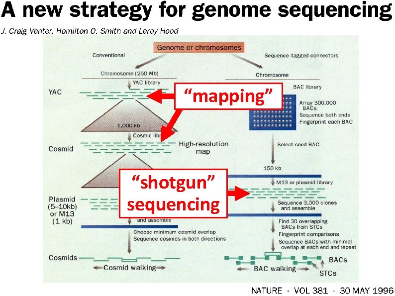 “mapping” “shotgun” sequencing 