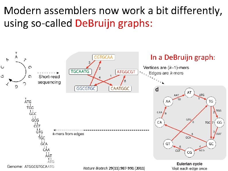 Modern assemblers now work a bit differently, using so-called De. Bruijn graphs: In a