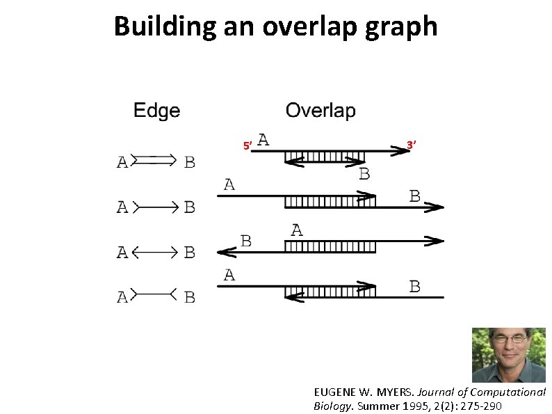 Building an overlap graph 5’ 3’ EUGENE W. MYERS. Journal of Computational Biology. Summer