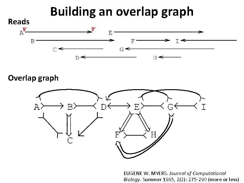 Reads Building an overlap graph 5’ 3’ Overlap graph EUGENE W. MYERS. Journal of