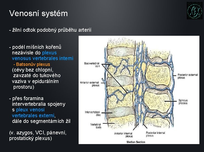 Venosní systém - žilní odtok podobný průběhu arterií - podél míšních kořenů nezávisle do