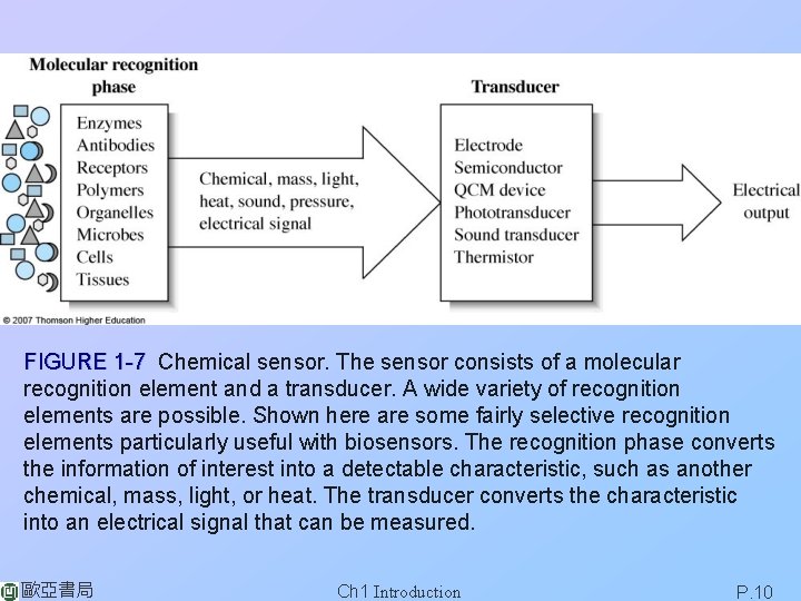 FIGURE 1 -7 Chemical sensor. The sensor consists of a molecular recognition element and FIGURE 1 -7 Chemical sensor. The sensor consists of a molecular recognition element and