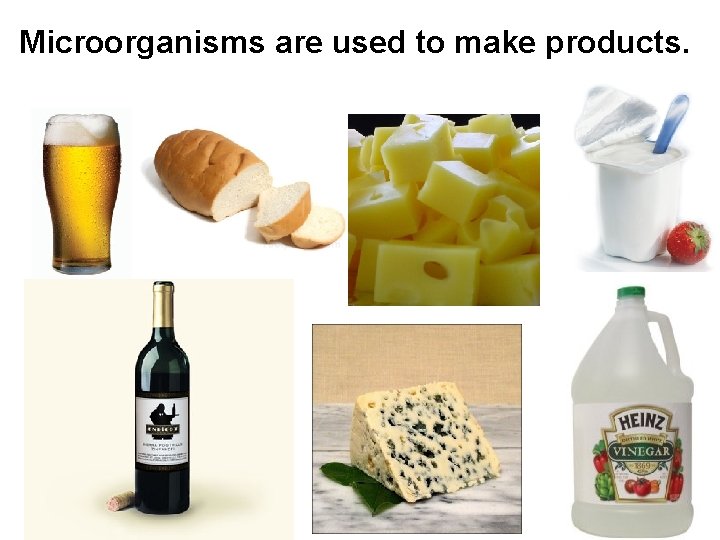 Microorganisms are used to make products. 