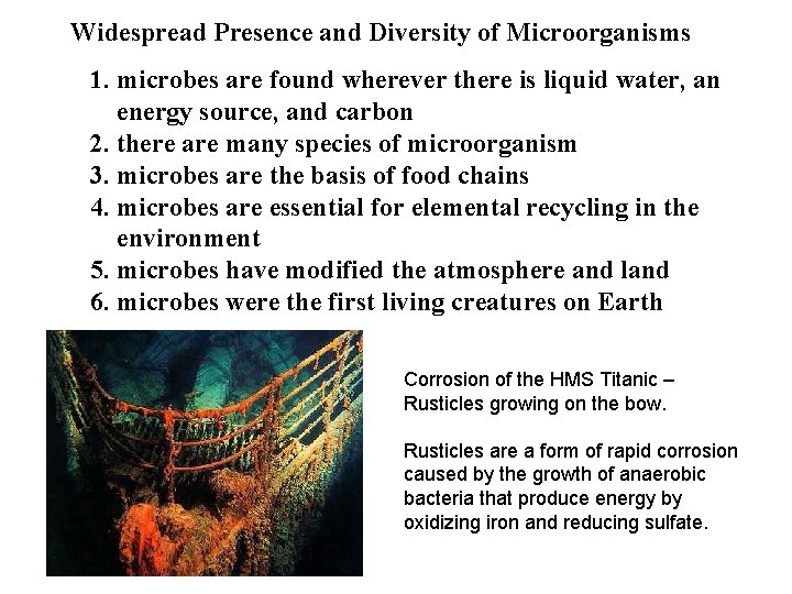 Widespread Presence and Diversity of Microorganisms 1. microbes are found wherever there is liquid