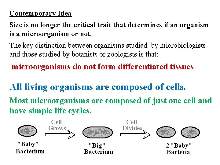 Contemporary Idea Size is no longer the critical trait that determines if an organism