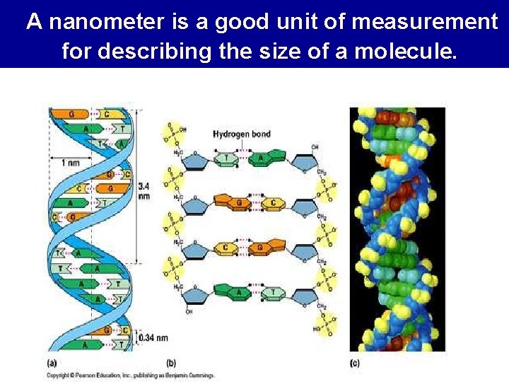 A nanometer is a good unit of measurement for describing the size of a