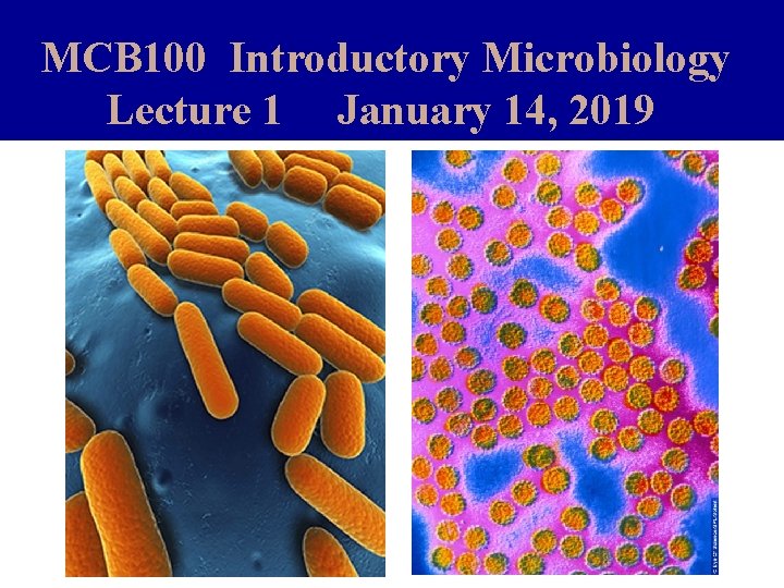 MCB 100 Introductory Microbiology Lecture 1 January 14, 2019 