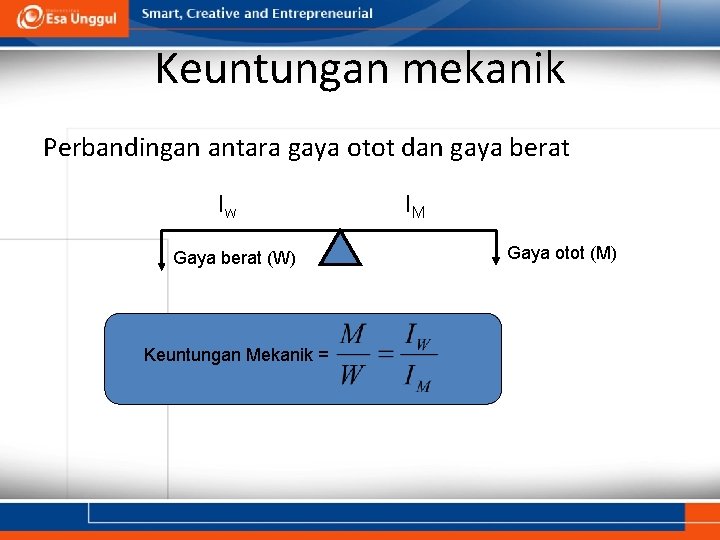 Keuntungan mekanik Perbandingan antara gaya otot dan gaya berat Iw Gaya berat (W) Keuntungan