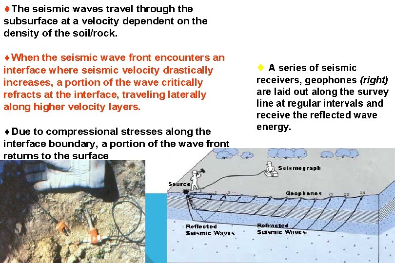  The seismic waves travel through the subsurface at a velocity dependent on the