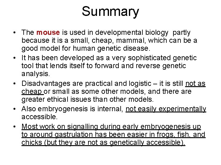 Summary • The mouse is used in developmental biology partly because it is a