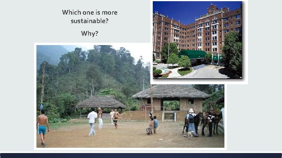 Which one is more sustainable? Why? 