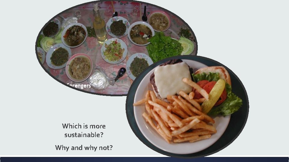 Which is more sustainable? Why and why not? 