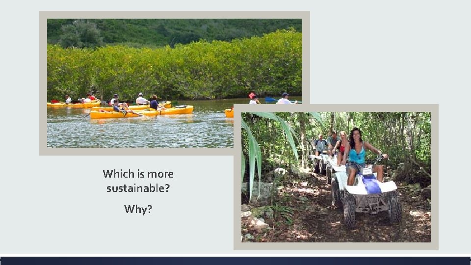 Which is more sustainable? Why? 