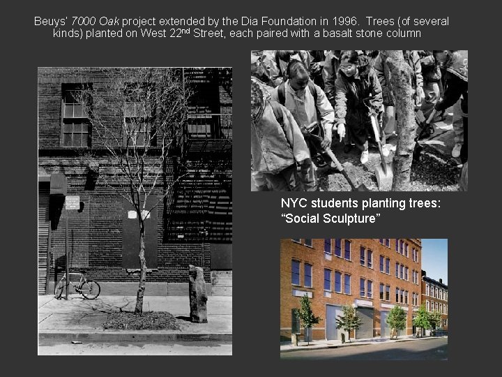 Beuys’ 7000 Oak project extended by the Dia Foundation in 1996. Trees (of several