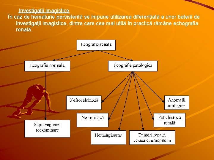 Investigaţii imagistice În caz de hematurie persistentă se impune utilizarea diferenţiată a unor baterii