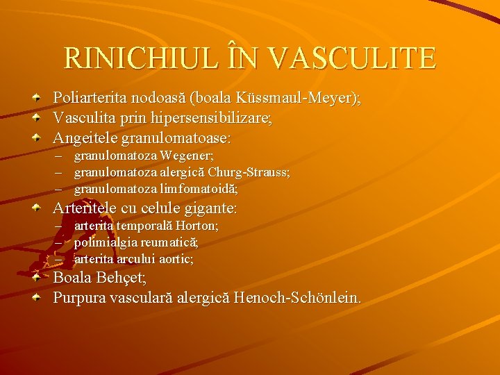 RINICHIUL ÎN VASCULITE Poliarterita nodoasă (boala Küssmaul-Meyer); Vasculita prin hipersensibilizare; Angeitele granulomatoase: – granulomatoza