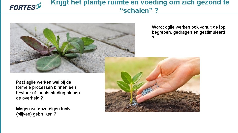 Krijgt het plantje ruimte en voeding om zich gezond te “schalen” ? Wordt agile