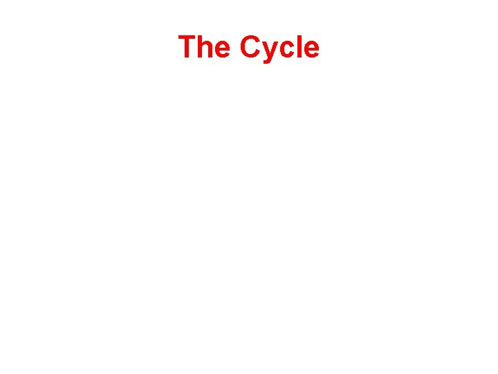 The Cycle 
