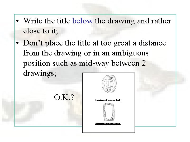  • Write the title below the drawing and rather close to it; •