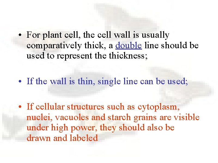  • For plant cell, the cell wall is usually comparatively thick, a double