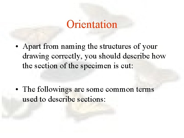Orientation • Apart from naming the structures of your drawing correctly, you should describe