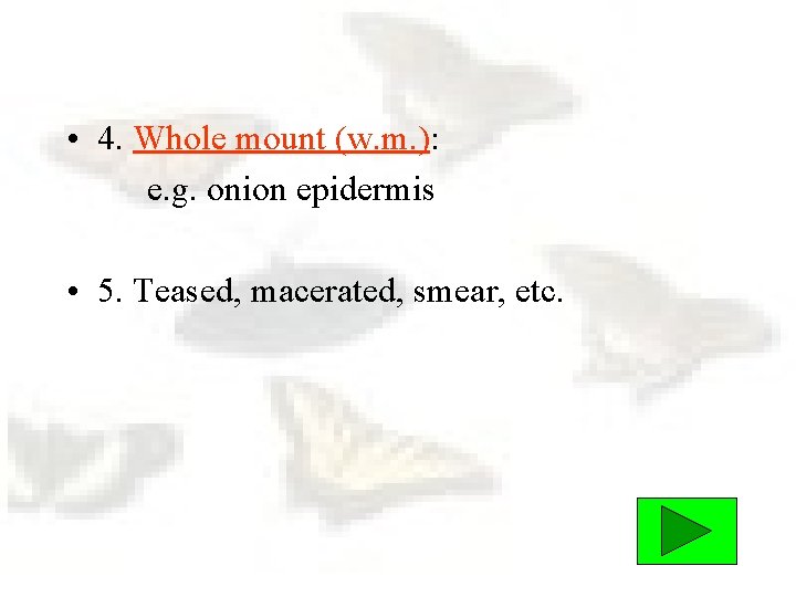  • 4. Whole mount (w. m. ): e. g. onion epidermis • 5.