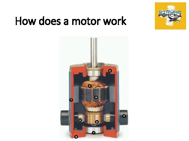 How does a motor work 