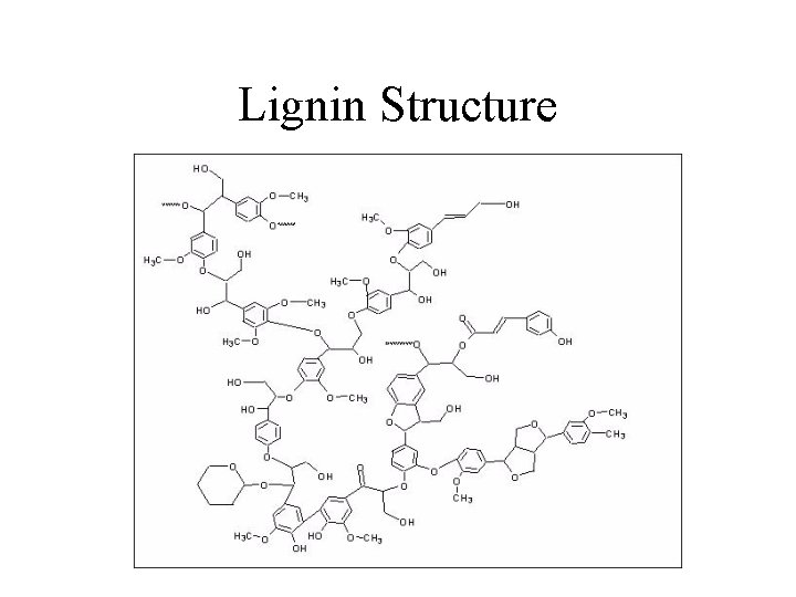 Lignin Structure 