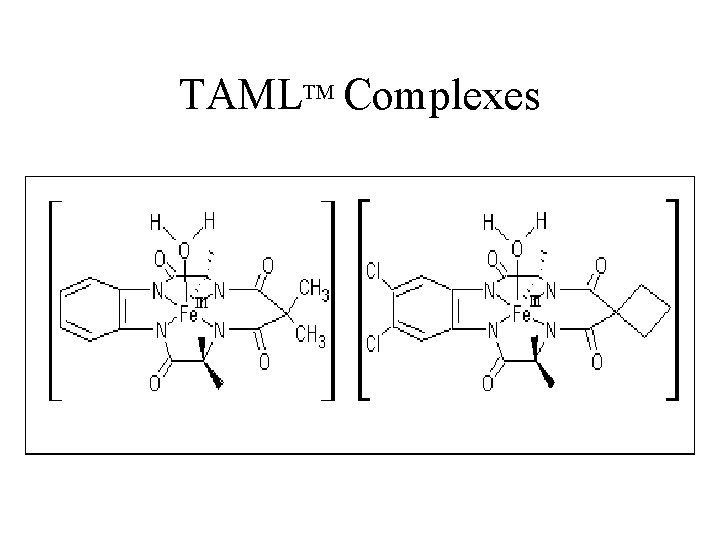 TAMLTM Complexes 