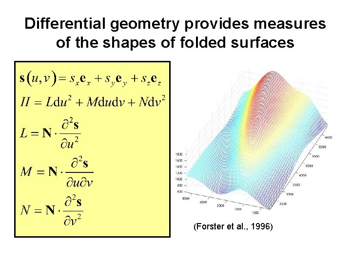 Differential geometry provides measures of the shapes of folded surfaces (Forster et al. ,