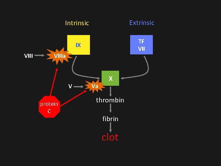 VIII Intrinsic Extrinsic IX TF VIIIa V protein C Va X thrombin fibrin clot