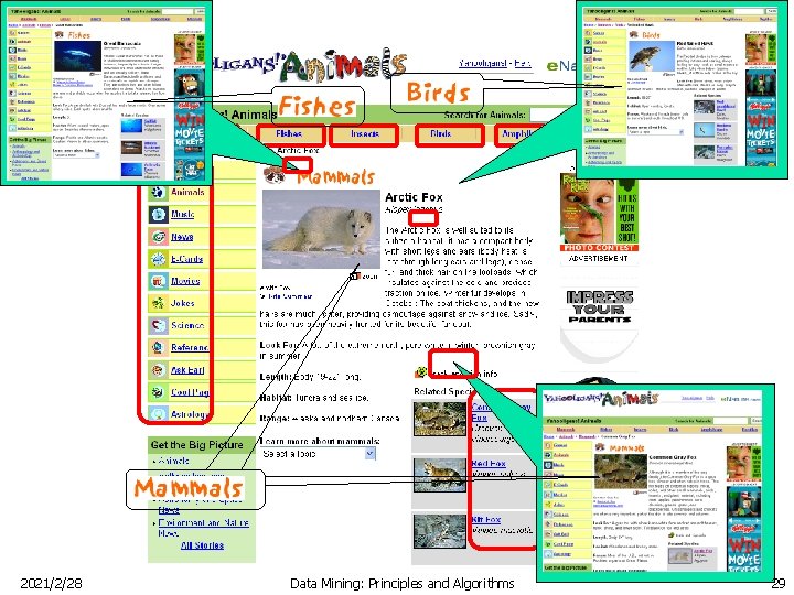 2021/2/28 Data Mining: Principles and Algorithms 29 