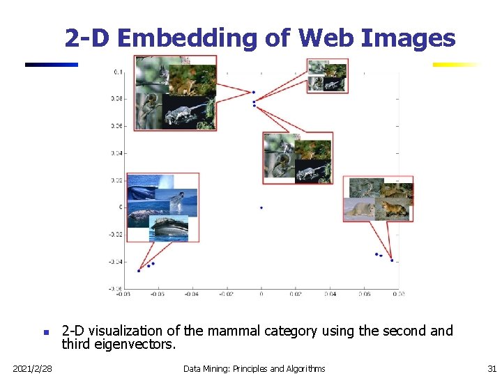 2 -D Embedding of Web Images n 2021/2/28 2 -D visualization of the mammal