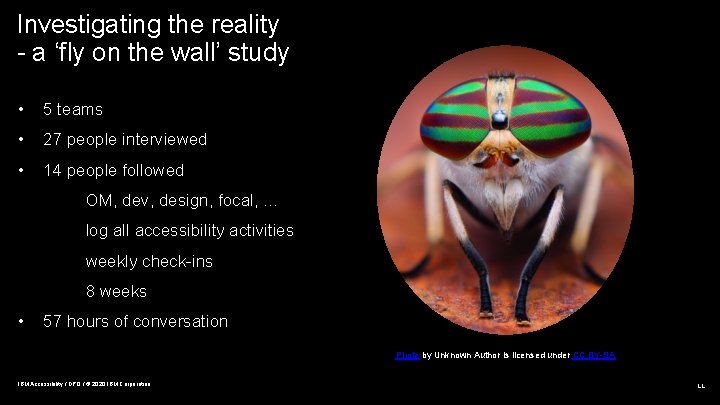 Investigating the reality - a ‘fly on the wall’ study • 5 teams •
